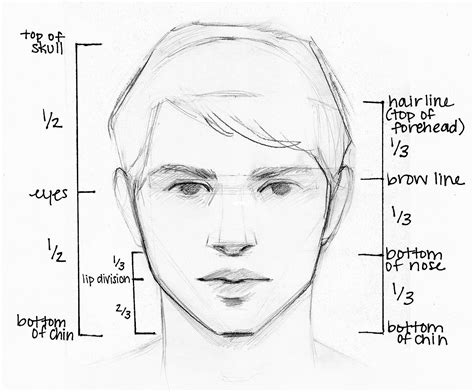 how to draw faces for beginners|how to draw face guidelines.